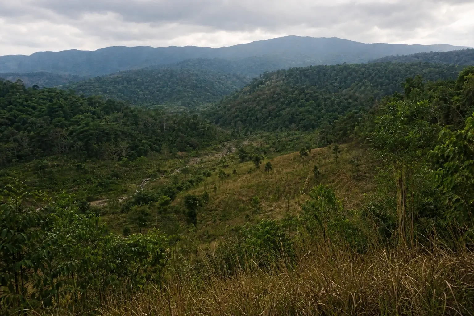 Ia Drang Valley landscape in Vietnam’s Central Highlands with dense jungle, forested hills, and cloudy mountain scenery.