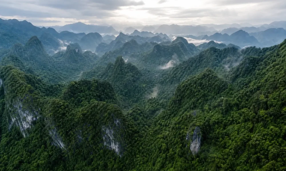 Aerial view of Phong Nha-Ke Bang karst mountains covered in dense jungle in central Vietnam