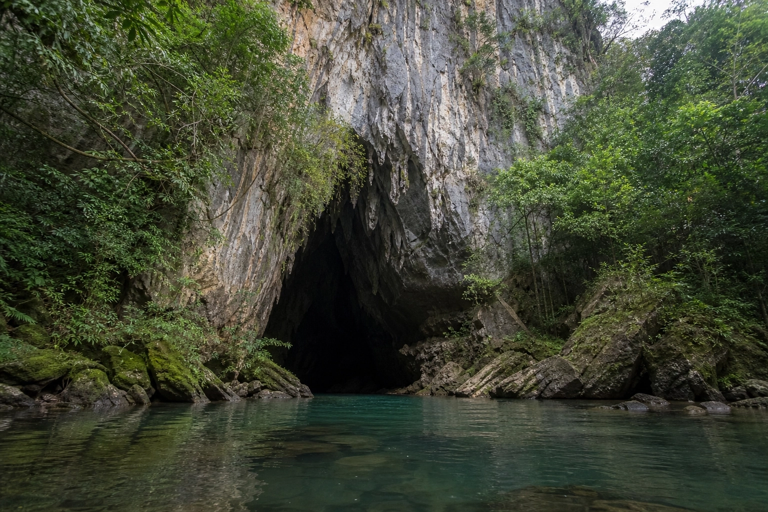 Tu Lan cave entrance framed by jungle and limestone cliffs above a clear green river in Phong Nha, Vietnam