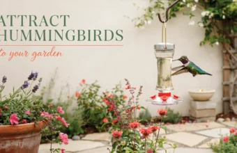 Green hummingbird hovering at a glass nectar feeder in a blooming garden.