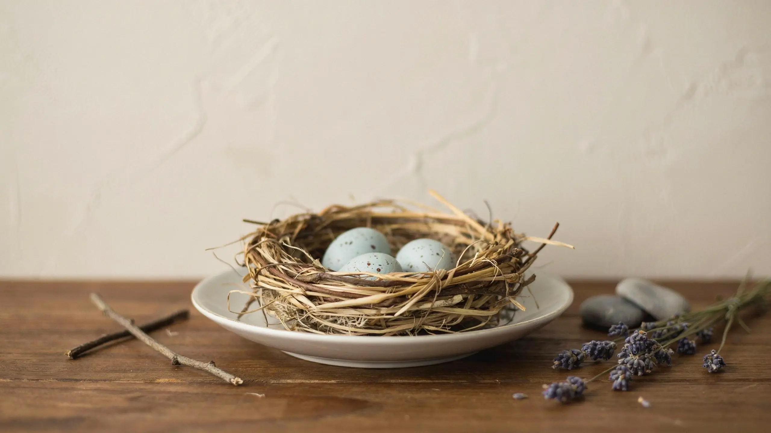 Rustic bird's nest with pale blue speckled eggs in white bowl, styled with dried twigs, stones, and lavender on a wooden table. 