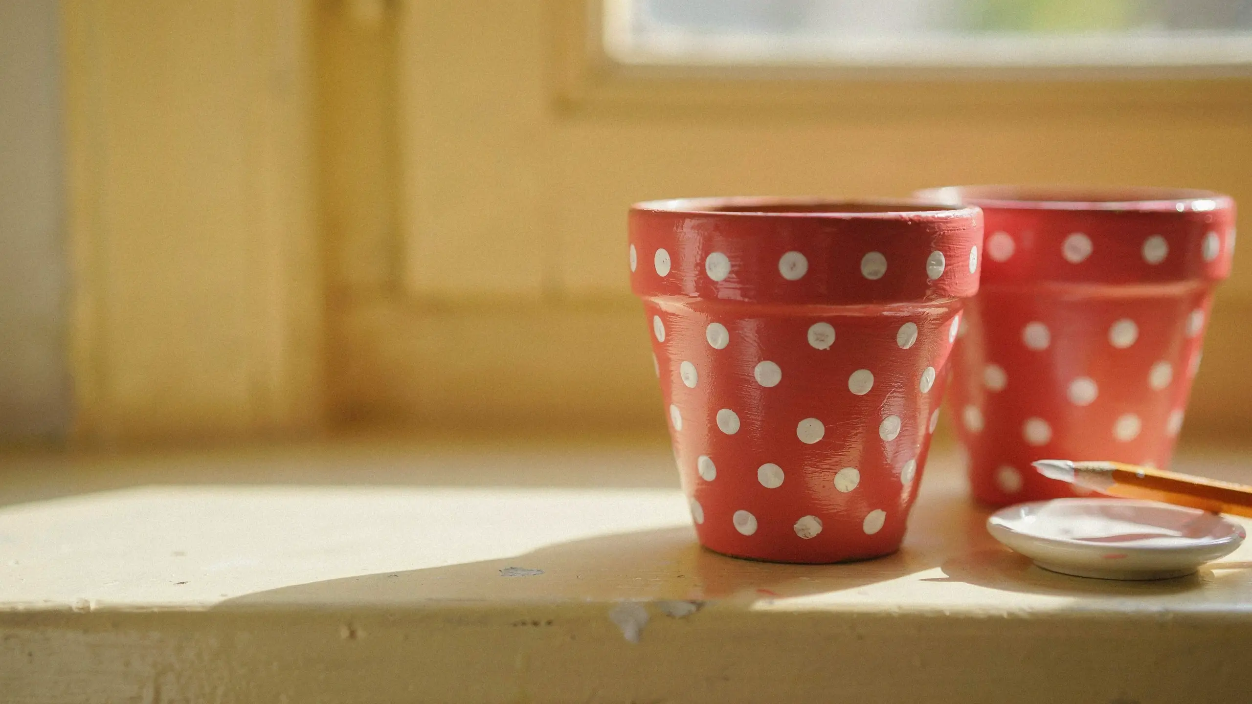 diy-eraser-stamped-polka-dot-terracotta-pots.jpg 