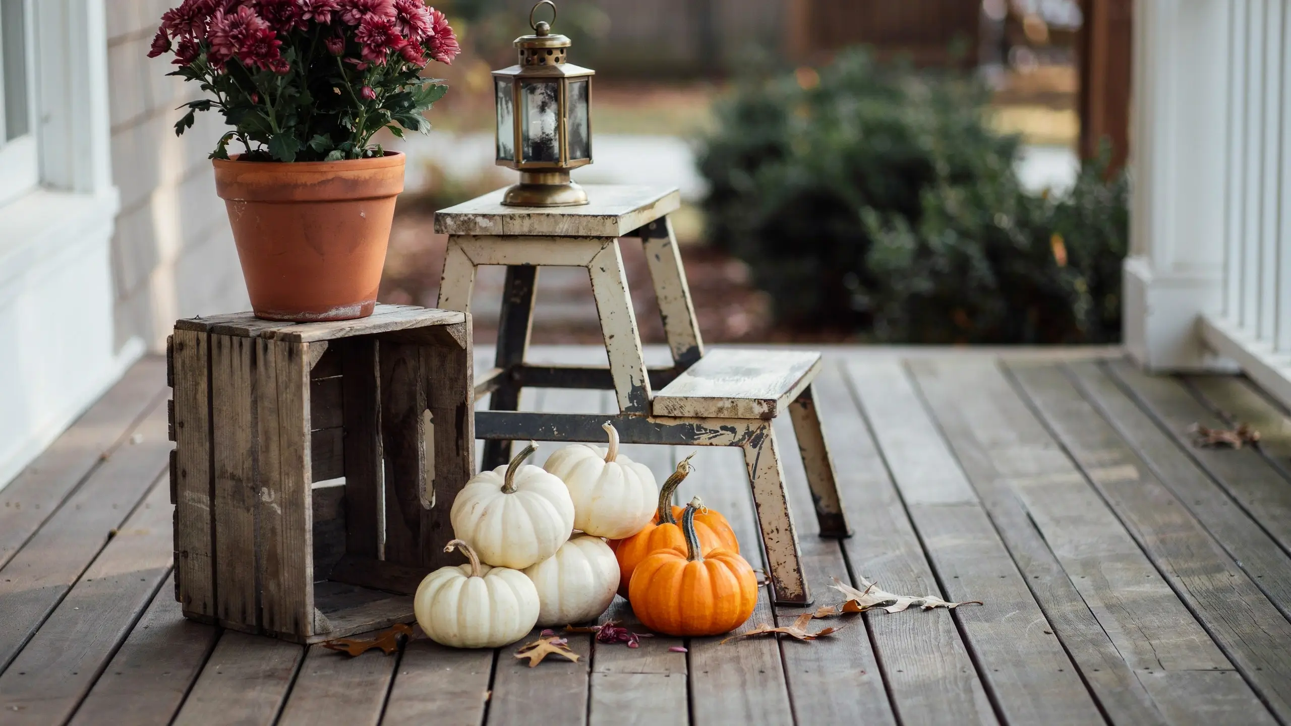Alt Text: Potted burgundy flowers styled with pumpkins, a lantern, and a rustic crate for easy fall porch decor.