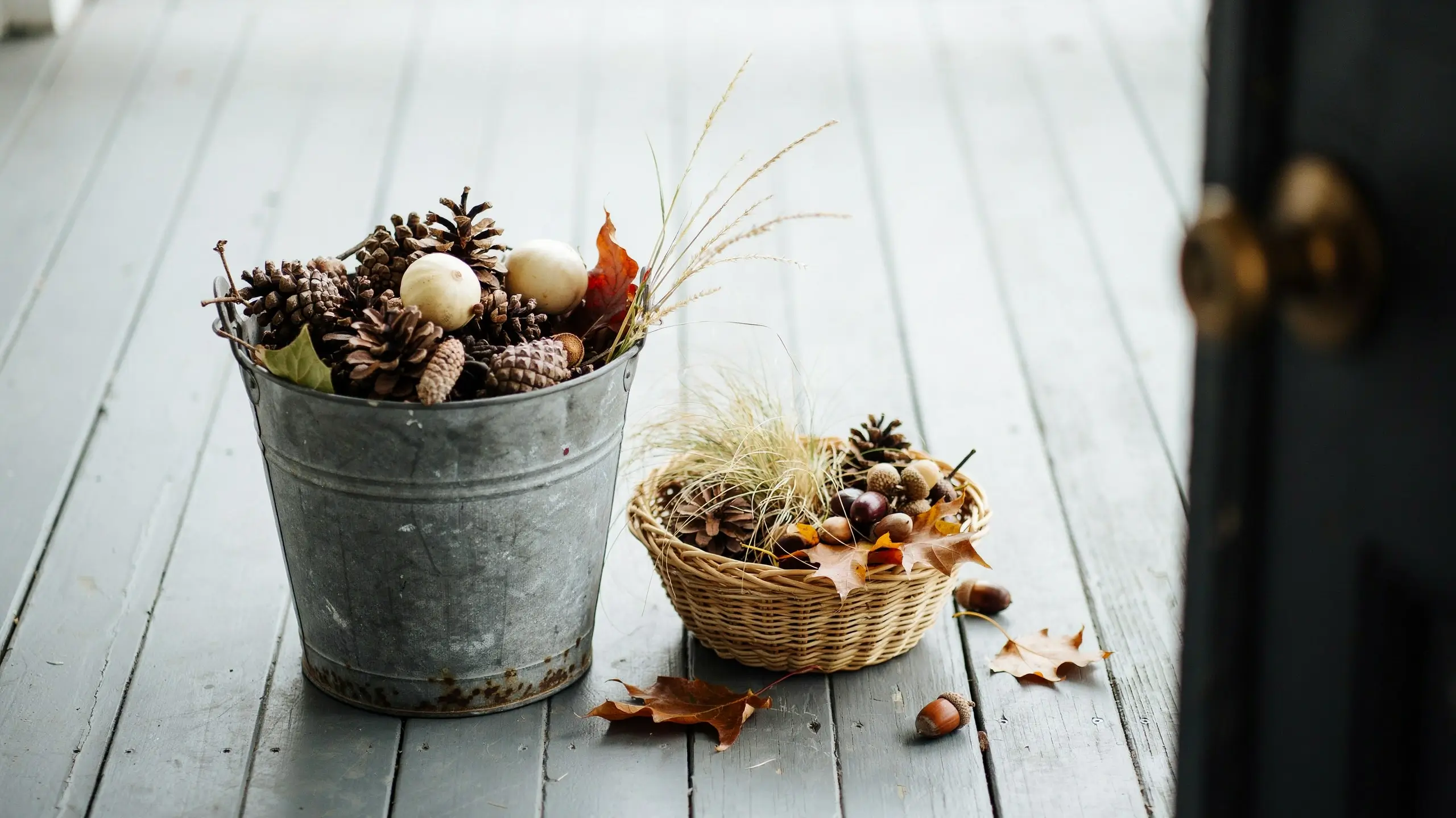 Alt Text: Galvanized bucket and wicker basket filled with pinecones, acorns, dried leaves, and grasses for fall crafts.