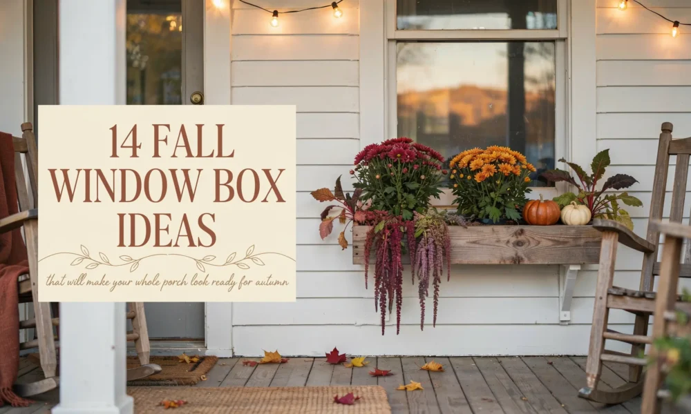 Fall window box ideas featuring red and orange mums, trailing purple amaranthus, and mini pumpkins on a rustic wooden planter decorating a white front porch.