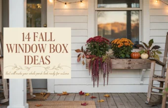 Fall window box ideas featuring red and orange mums, trailing purple amaranthus, and mini pumpkins on a rustic wooden planter decorating a white front porch.