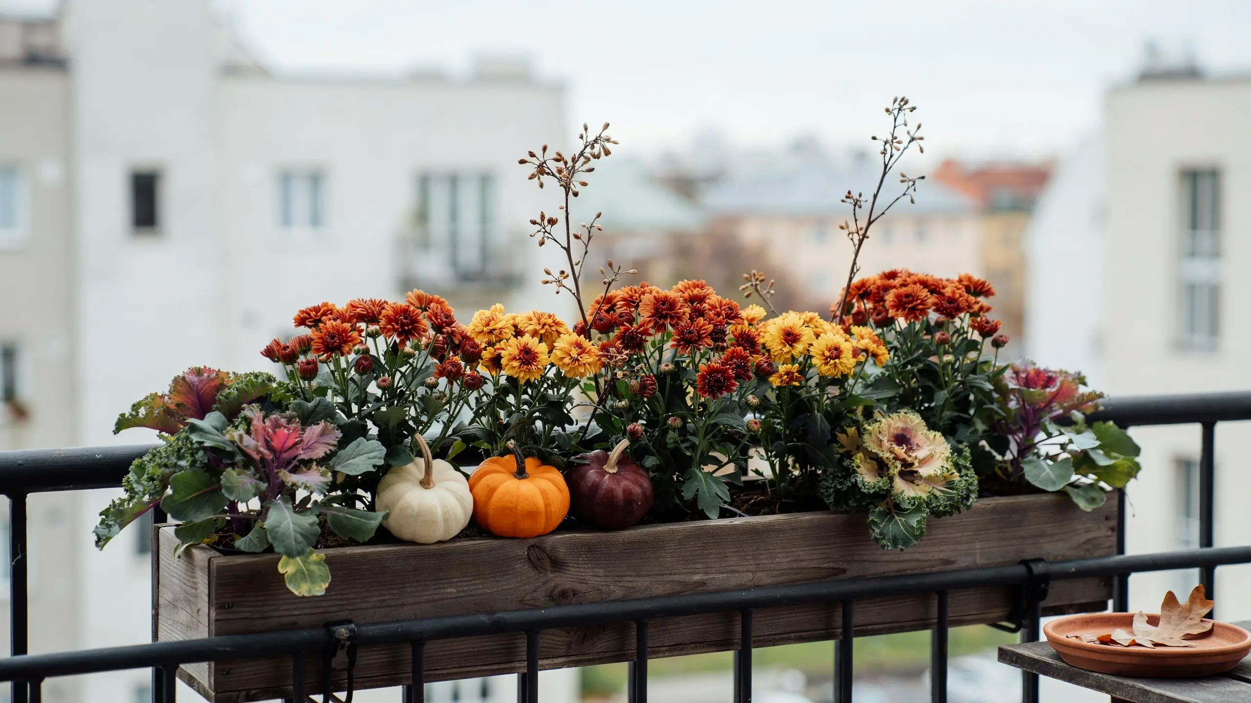 Rustic wooden faux fall planter box on a black apartment balcony railing filled with colorful autumn chrysanthemums, ornamental kale, and white, orange, and maroon mini pumpkins next to a terracotta saucer.