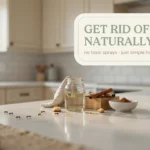 Natural ant repellent DIY setup on kitchen counter using cinnamon sticks, lemon, and rosemary.