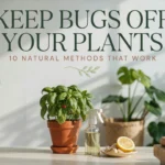 keep-bugs-off-plants-natural-methods-guide