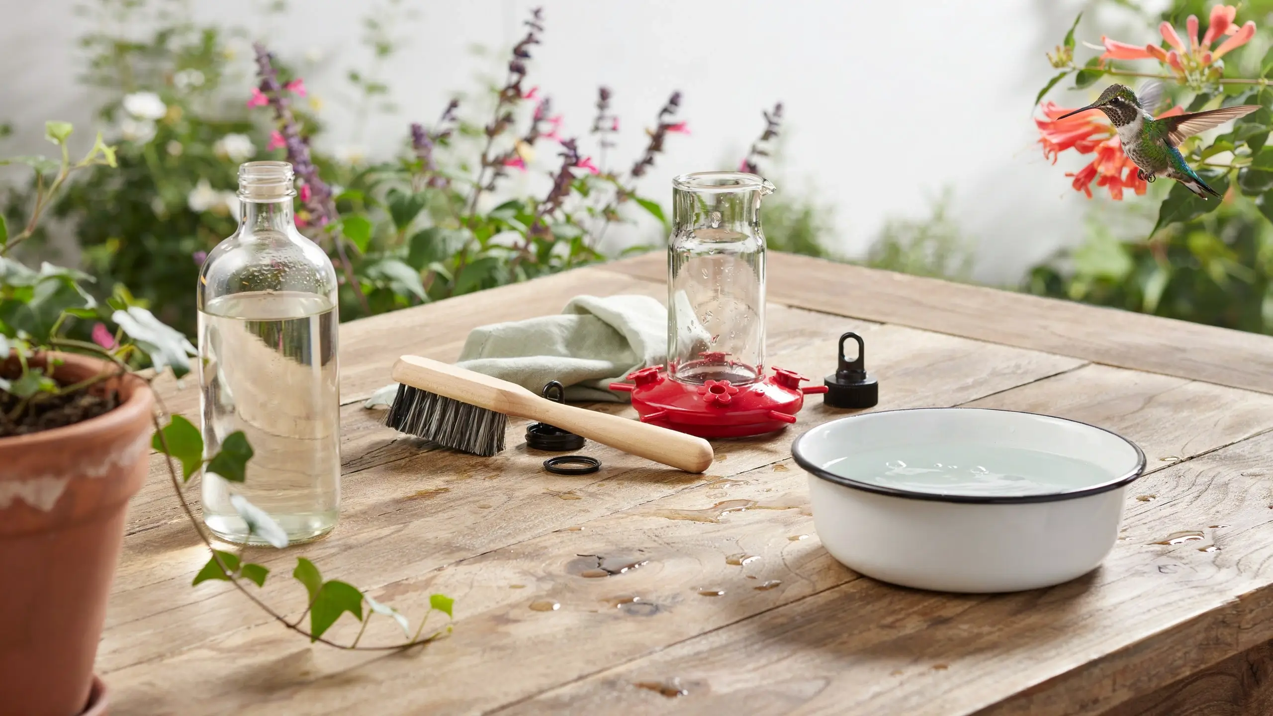 Disassembled hummingbird feeder cleaning supplies including brush and water bowl on a weathered wooden outdoor table, with a hummingbird visiting nearby.