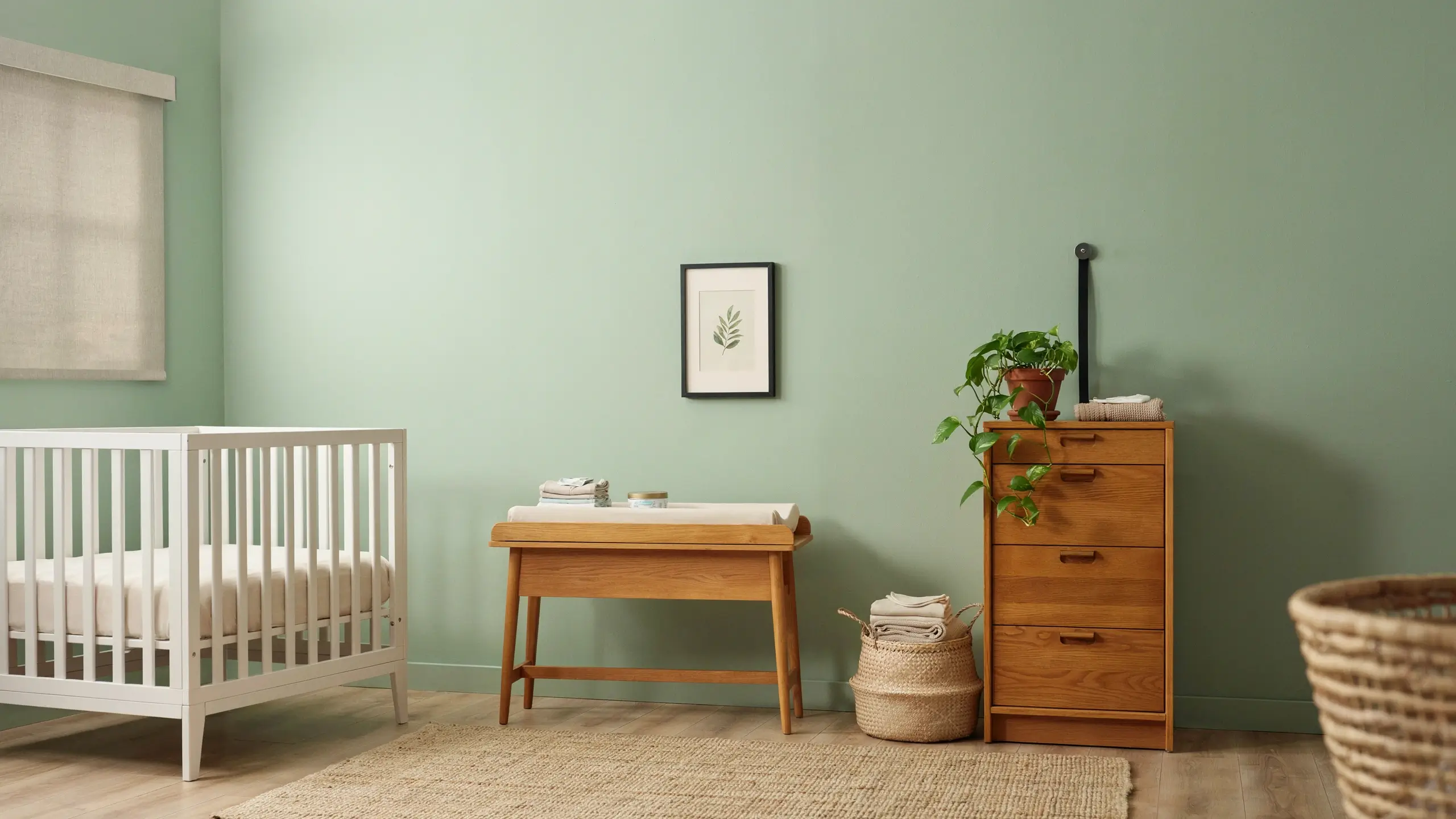 Minimalist sage green nursery with a white crib, wooden dresser, a potted pothos plant, and a framed botanical leaf art print hanging centrally on the wall.