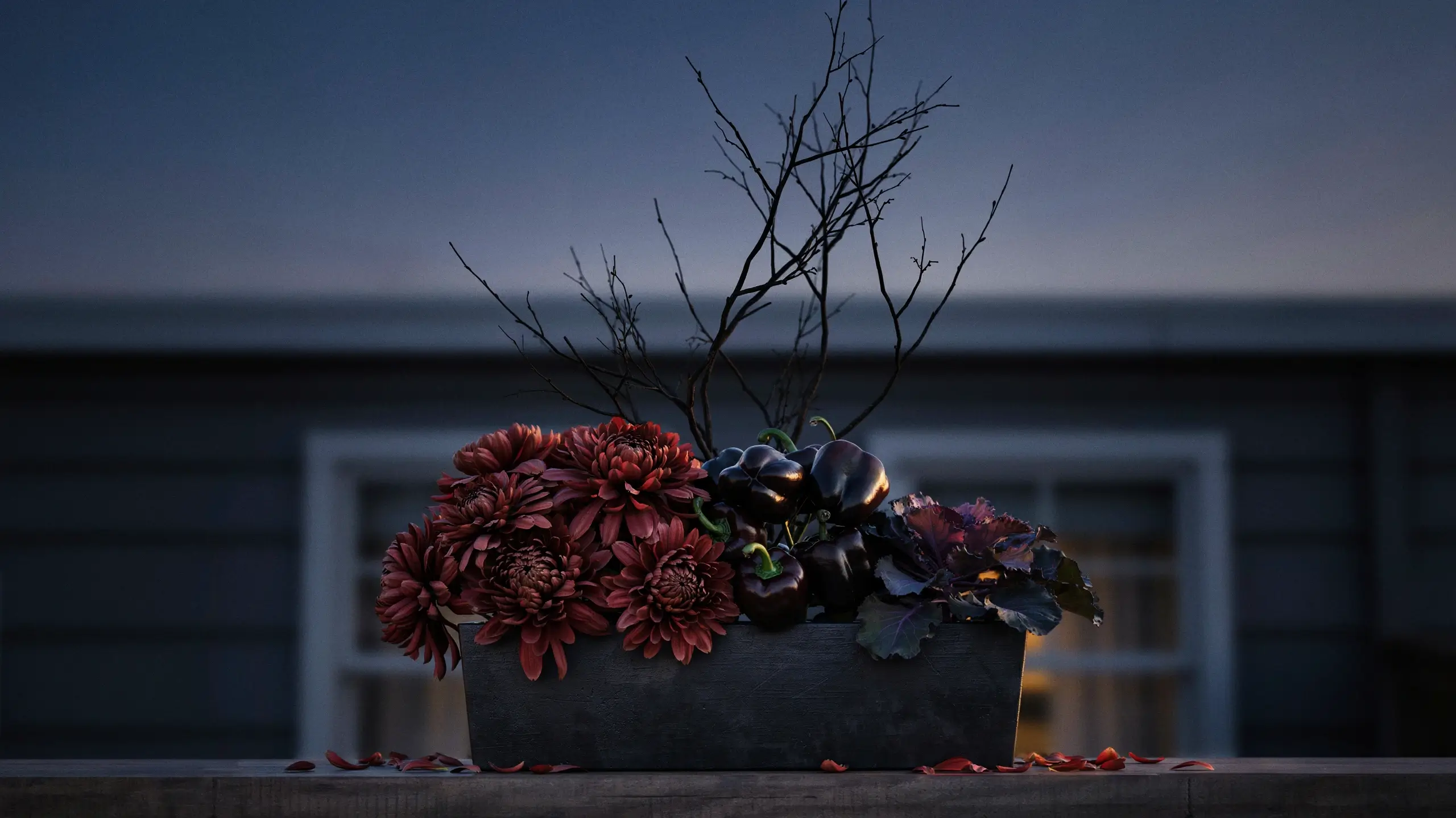 Moody floral arrangement in a black box with deep burgundy chrysanthemums, dark bell peppers, and bare branches at twilight.