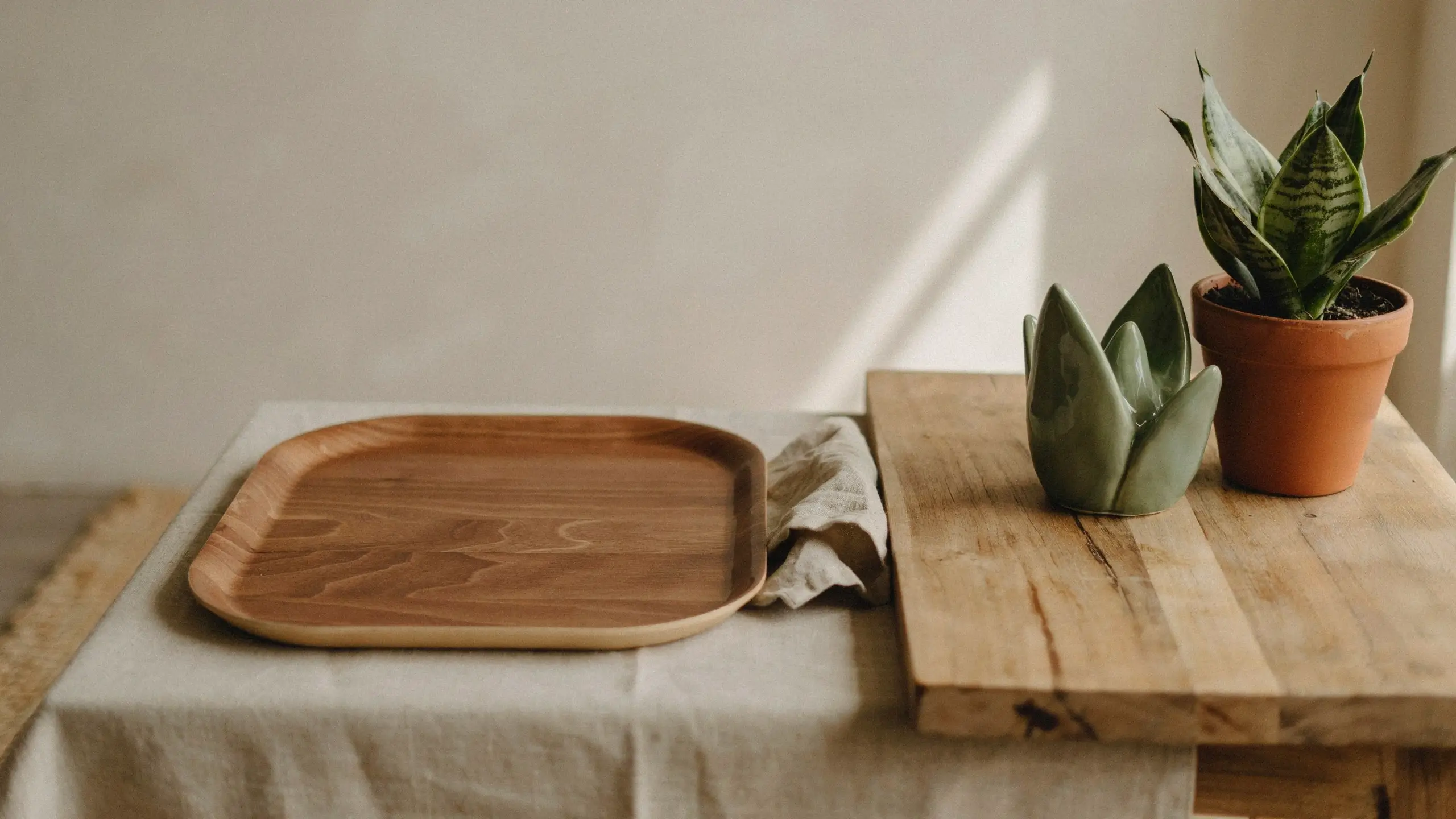 Minimalist still life featuring a smooth wooden tray, a sage-green ceramic succulent sculpture, and a potted Sansevieria snake plant in a terracotta pot, all bathed in warm, angled natural sunlight for a Japandi-style home decor aesthetic