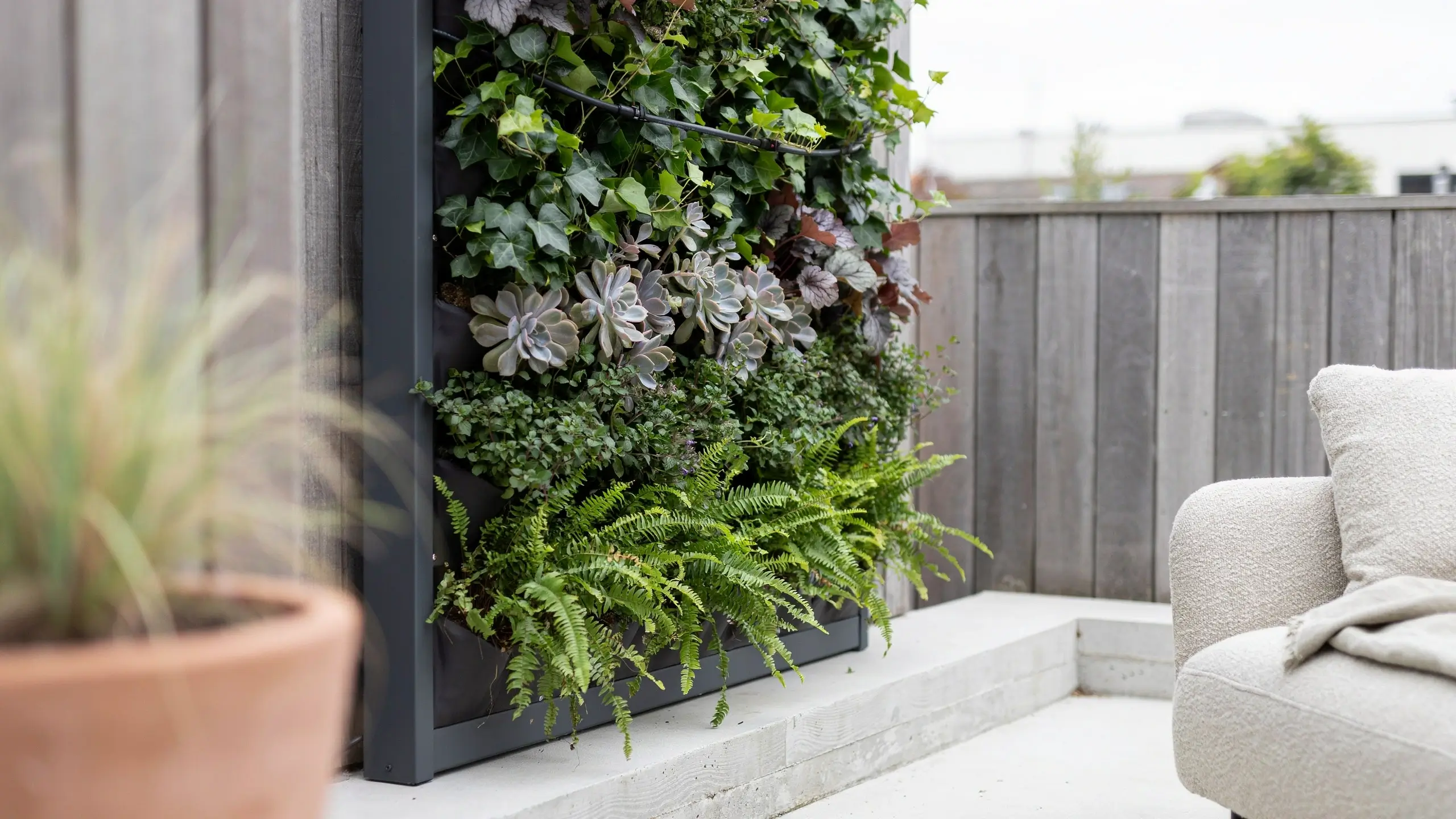 Outdoor vertical garden panels displaying a lush living wall with green ivy, grey succulent rosettes, and ferns in a dark metal frame on a modern patio. 