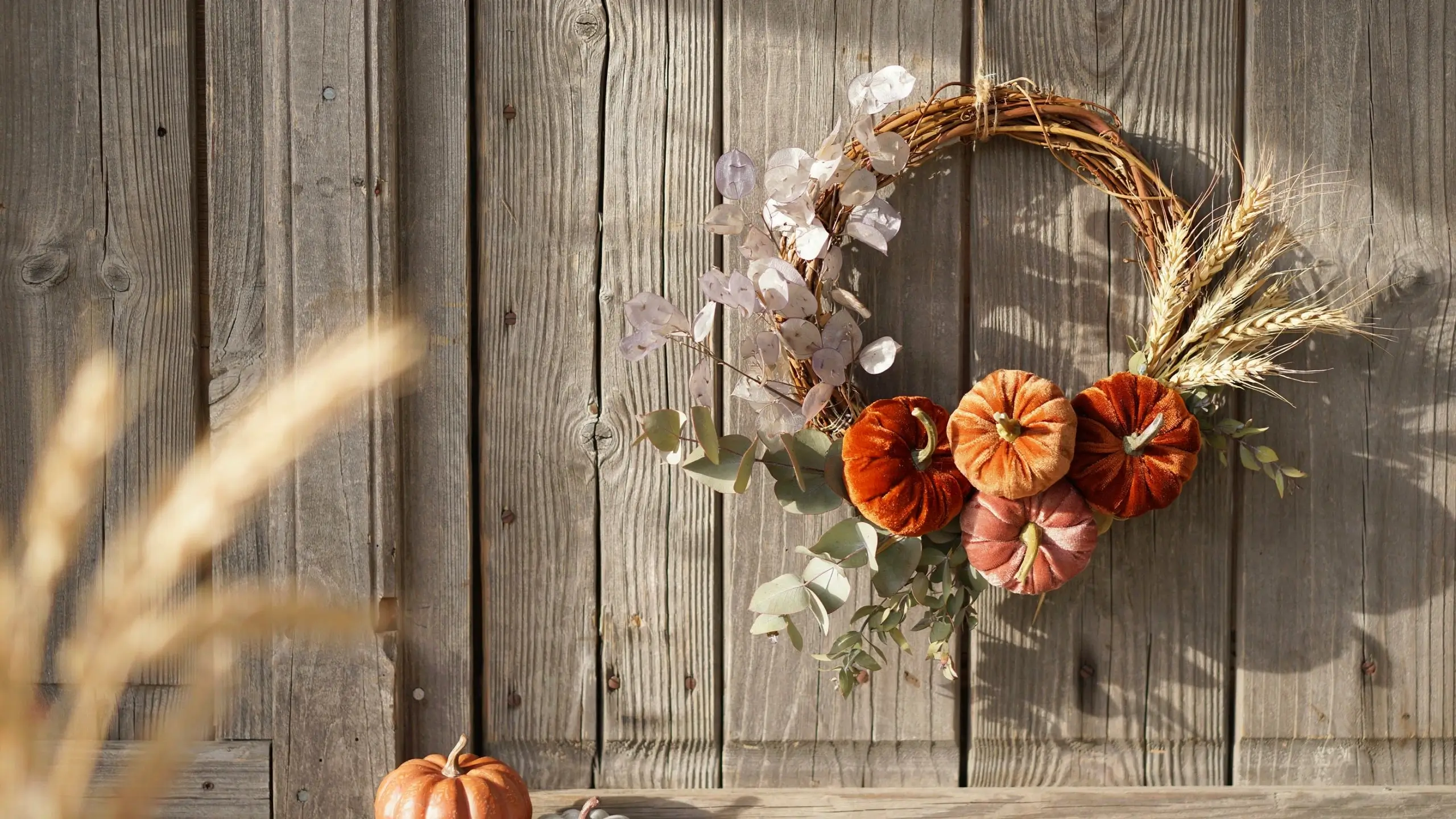Alt Text: Rustic autumn wreath featuring dried white lunaria, eucalyptus, golden wheat, and plush velvet pumpkins in warm orange and soft pink, hanging on a weathered wood plank background.