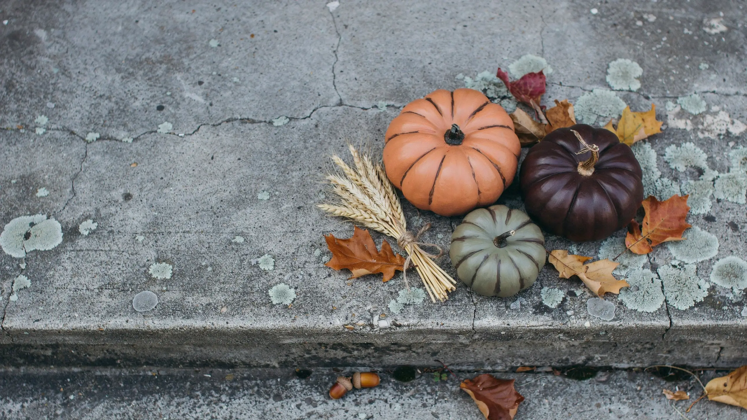 Three no-carve pumpkins in modern earthy hues of orange, sage green, and dark plum, styled with a dried wheat bundle, acorns, and autumn oak leaves on a textured concrete step with lichen. 