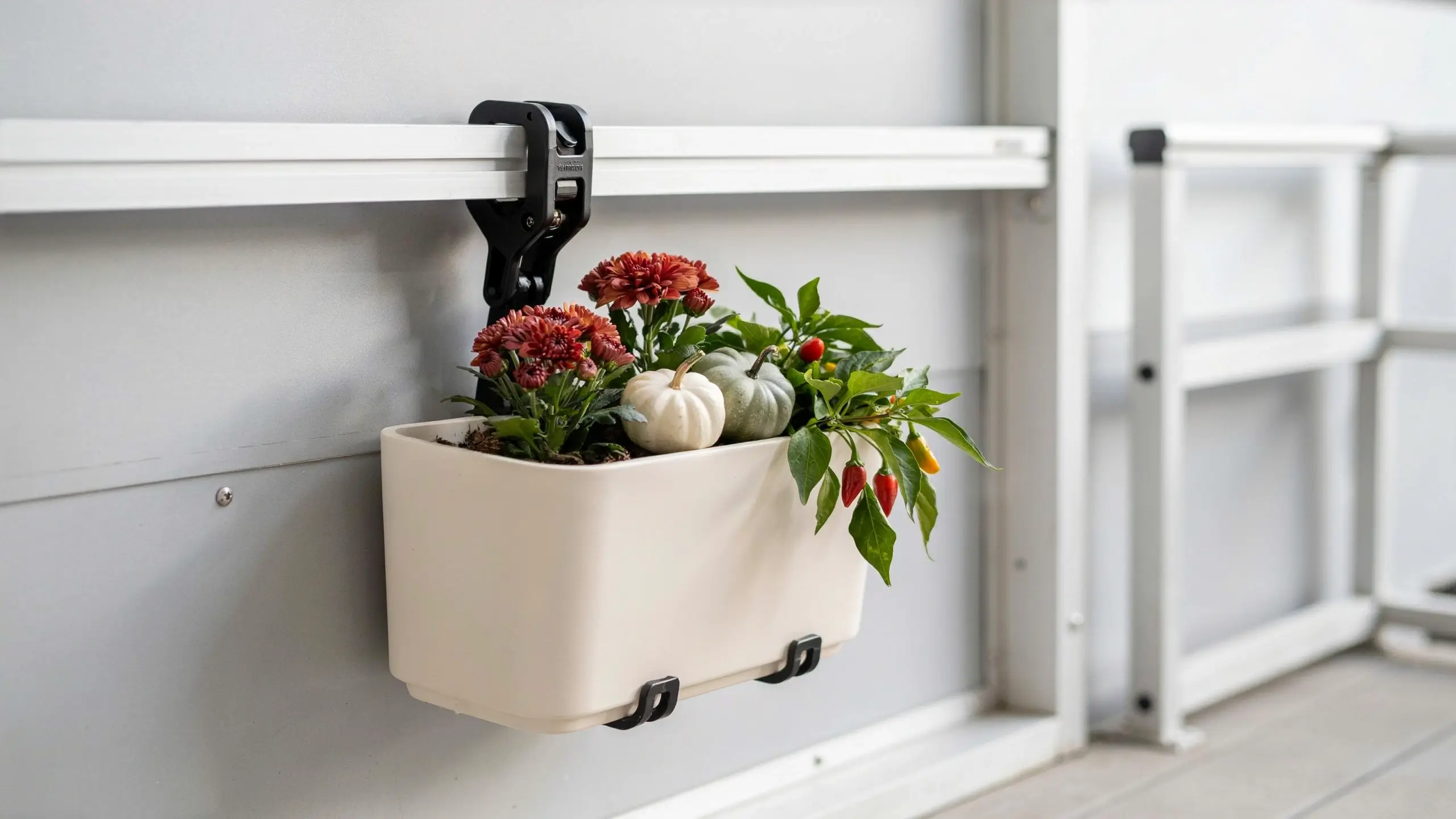 White rectangular hanging planter securely attached to a white horizontal rail with a black adjustable clamp, featuring red chrysanthemum flowers, small decorative white and green pumpkins, and a chili pepper plant, designed for small-space gardening on RVs and balconies.