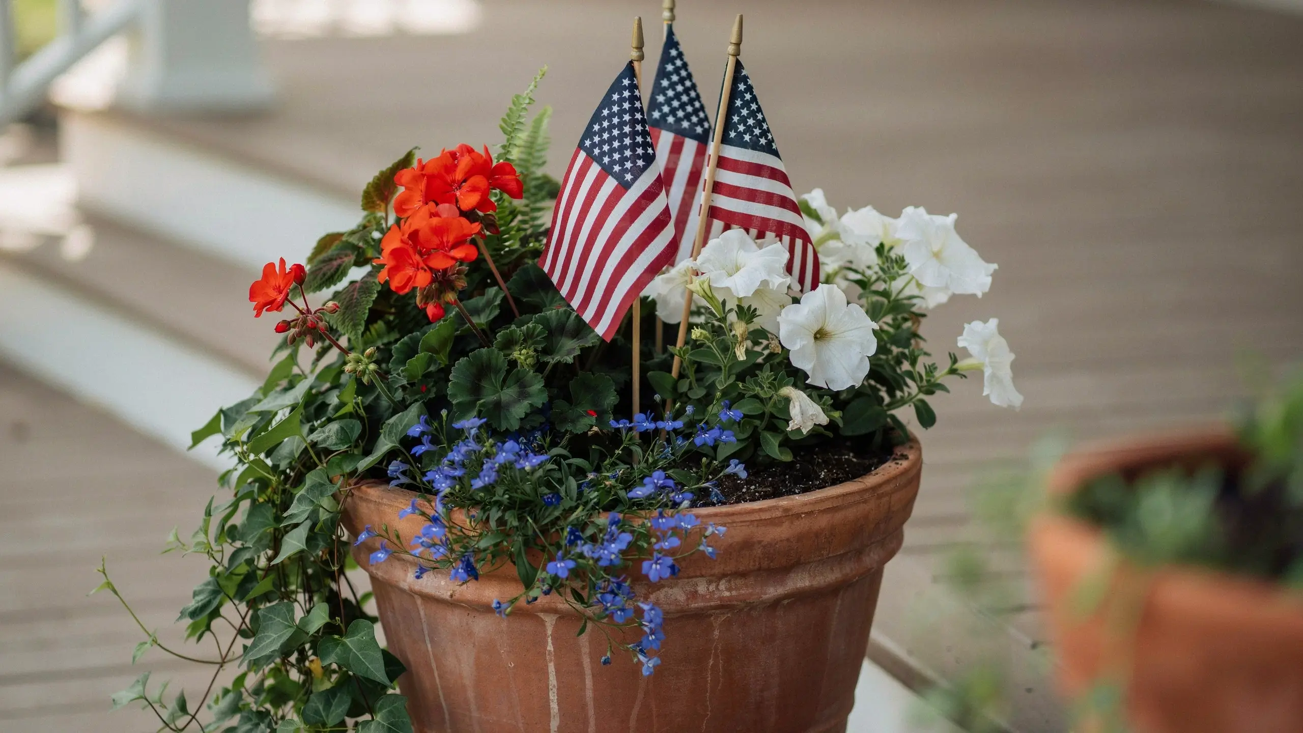Small American flags tucked into a terracotta pot filled with red, white, and blue flowers.