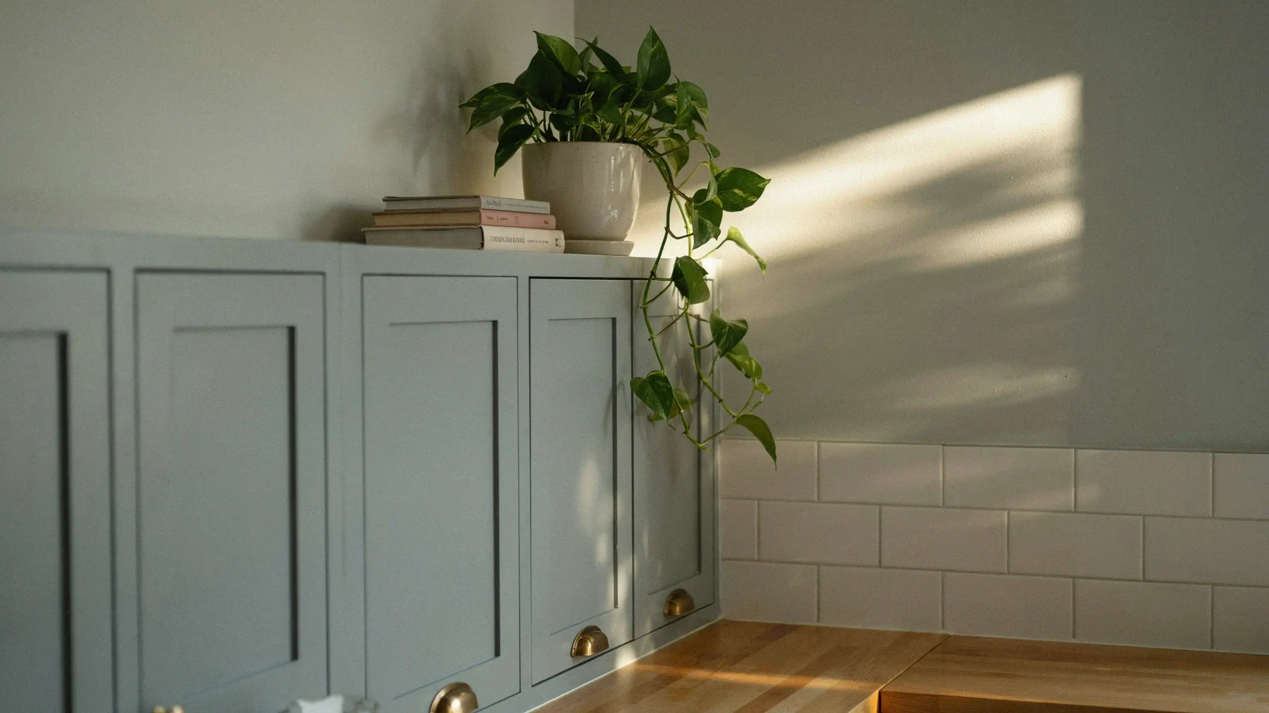 Trailing faux greenery in a white pot above light blue kitchen cabinets beside stacked books.