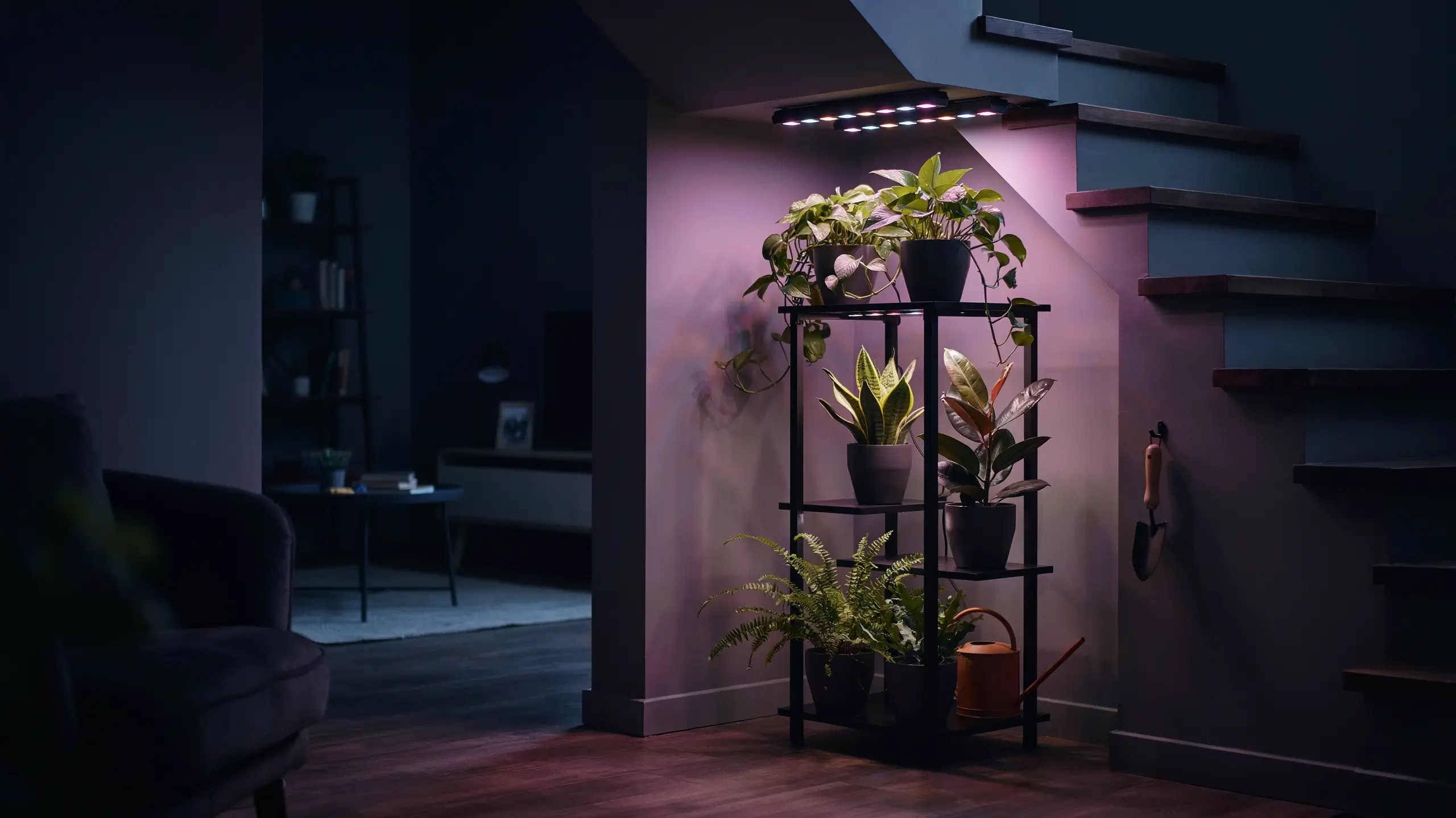 Black metal three-tier plant stand under stairs with purple LED grow light, holding snake plant, pothos, and fern in a dark interior living room. 