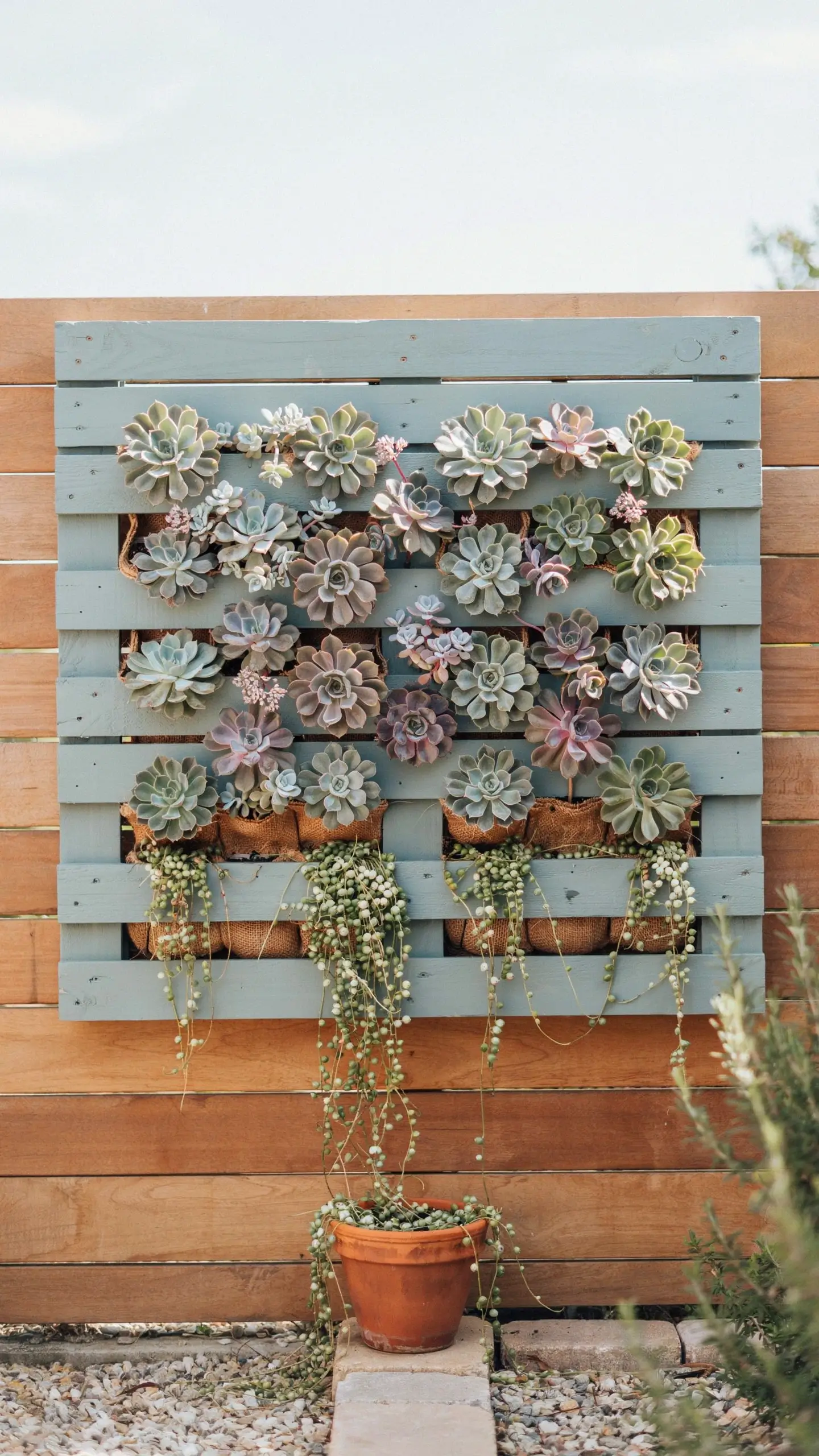 A painted sage gray wooden pallet succulent wall planter featuring rosette succulents and trailing String of Pearls hanging against a rustic outdoor wooden fence.