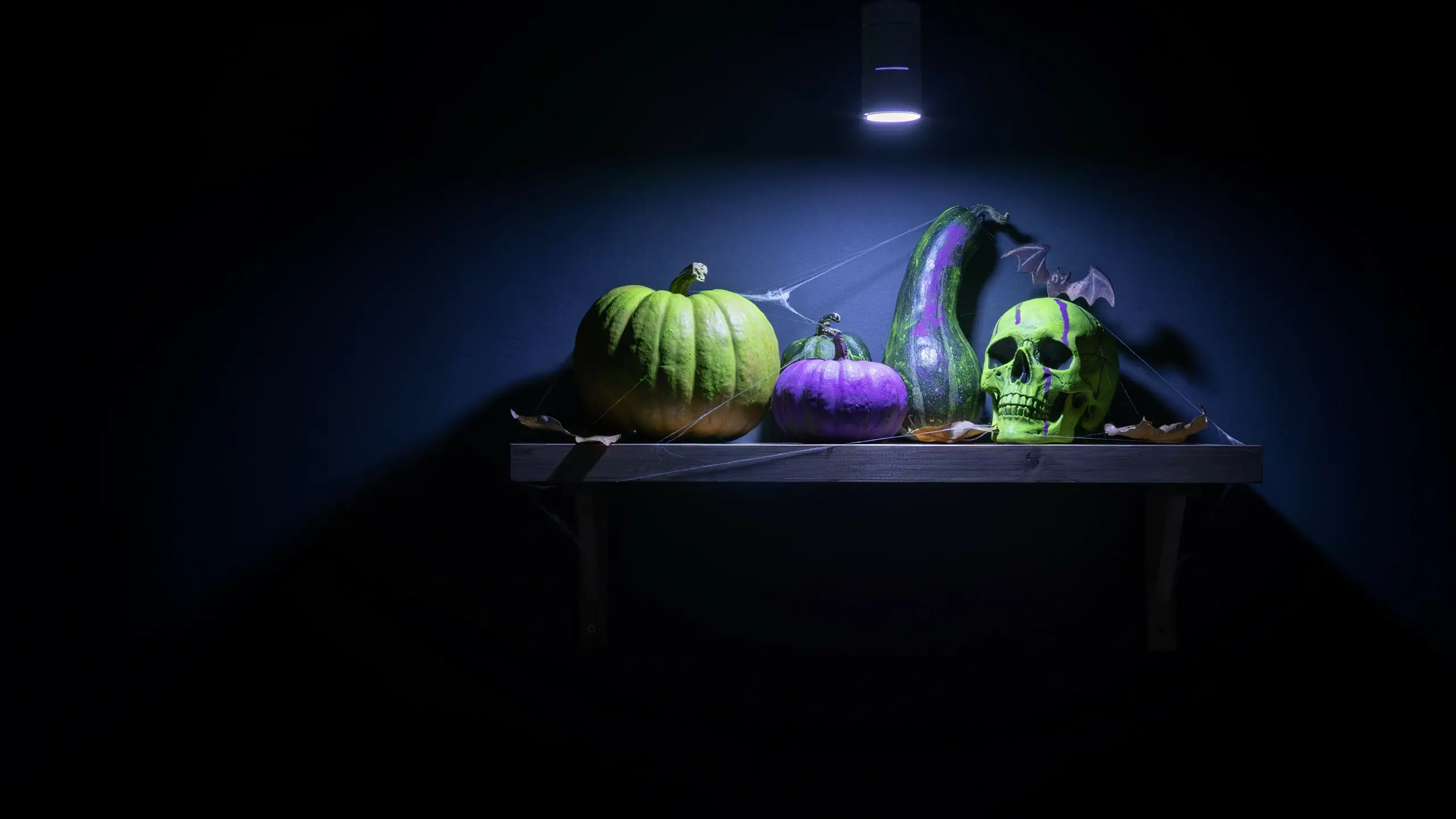 "Spooky Halloween kitchen counter decor featuring a green pumpkin, small purple pumpkin, tall striped gourd, and painted green skull under a dramatic spotlight on a rustic wooden shelf, accented with spiderwebs and a bat." 