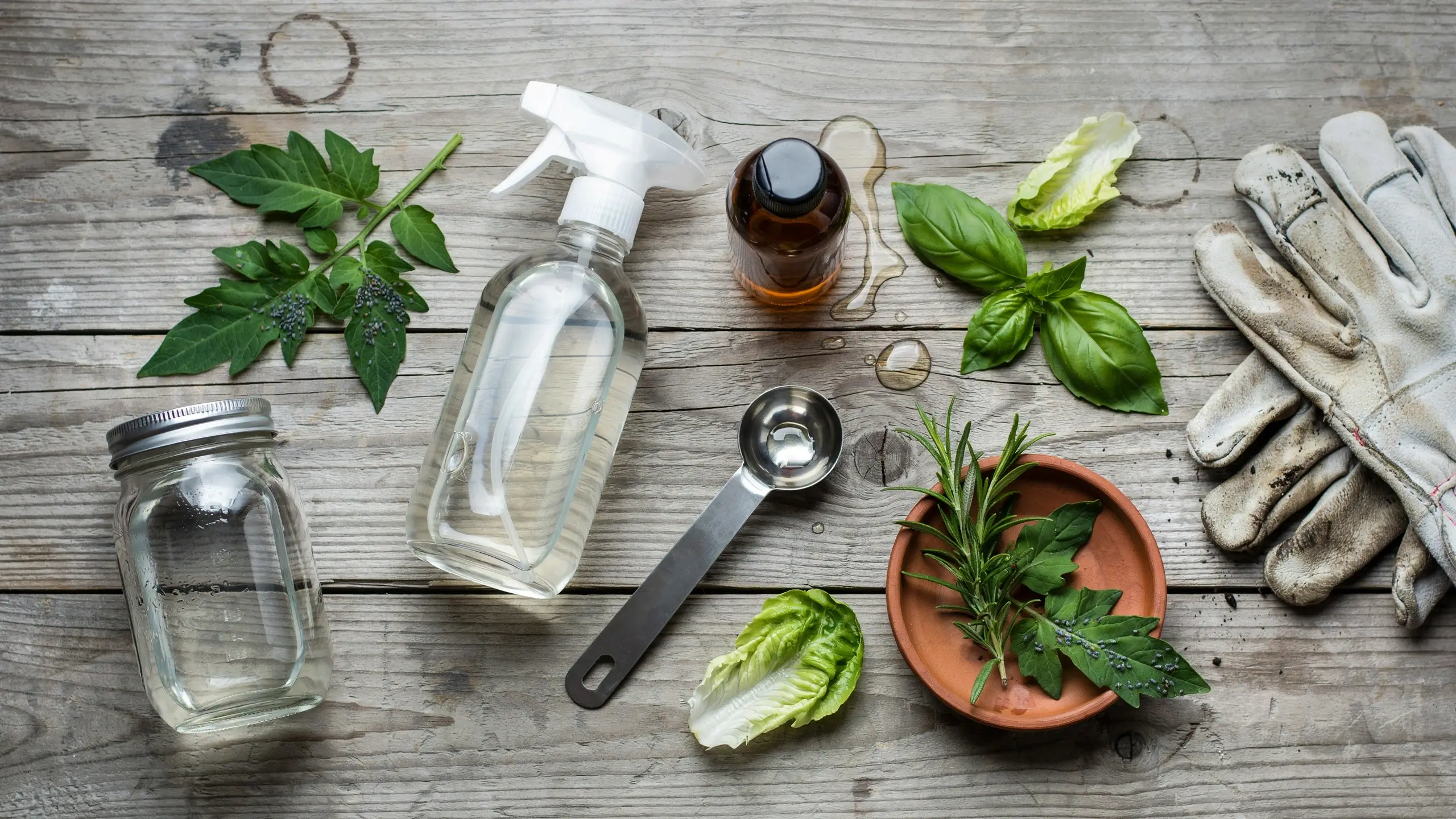 Flat lay of DIY dish soap spray ingredients including a clear spray bottle, glass mason jar with water, essential oil bottle, measuring spoon, fresh basil, rosemary, and gardening gloves on a rustic wooden table.