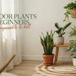 Collection of easy indoor plants for beginners, nearly impossible to kill, featuring snake plant, monstera, and pothos in a bright modern living room.