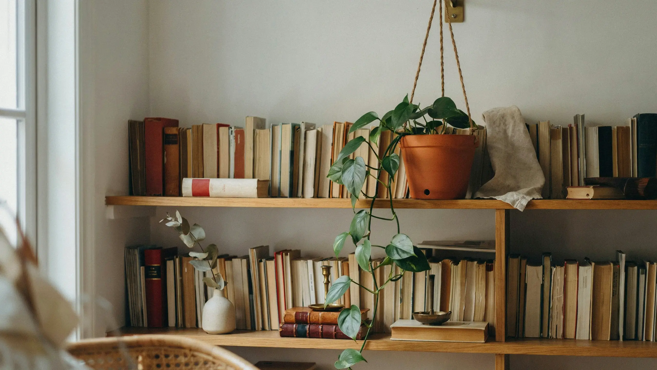 Hanging heartleaf philodendron plant in a terracotta pot trailing down a wooden bookshelf filled with books.