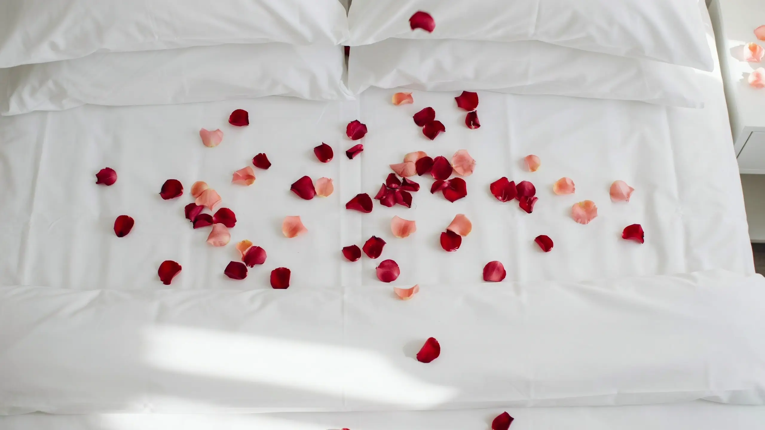 Fresh deep red and light pink rose petals scattered across a crisp white hotel bed with plush pillows, creating a romantic atmosphere for a special occasion.