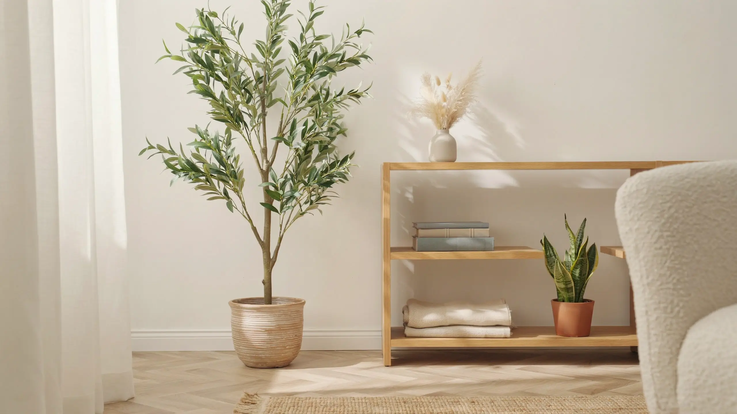 A tall, realistic indoor olive tree planted in a textured beige pot, placed beside a light wood shelving unit featuring stacked books, a snake plant, and dried pampas grass in a serene, sun-drenched minimalist living room.