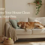 How to Keep Your House Clean When You Have Pets (Even With Fur Everywhere) A Golden Retriever sleeping peacefully on a clean white sofa in a cozy, sunlit living room, demonstrating an aesthetic pet-friendly home where the house stays fresh and tidy.