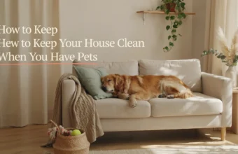 A Golden Retriever sleeping peacefully on a clean white sofa in a cozy, sunlit living room, demonstrating an aesthetic pet-friendly home where the house stays fresh and tidy.