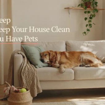 A Golden Retriever sleeping peacefully on a clean white sofa in a cozy, sunlit living room, demonstrating an aesthetic pet-friendly home where the house stays fresh and tidy.