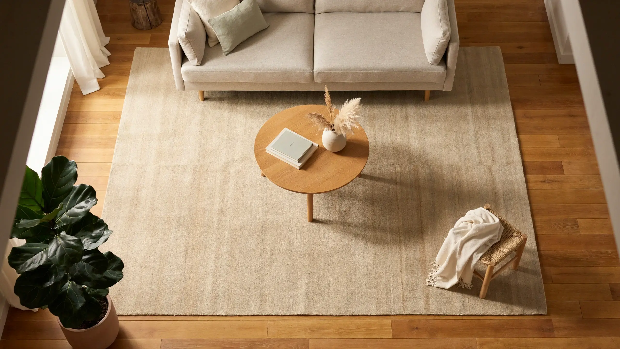Top-down view of a living room with a large, correctly sized beige area rug anchored under a minimalist sofa and round wooden coffee table.
