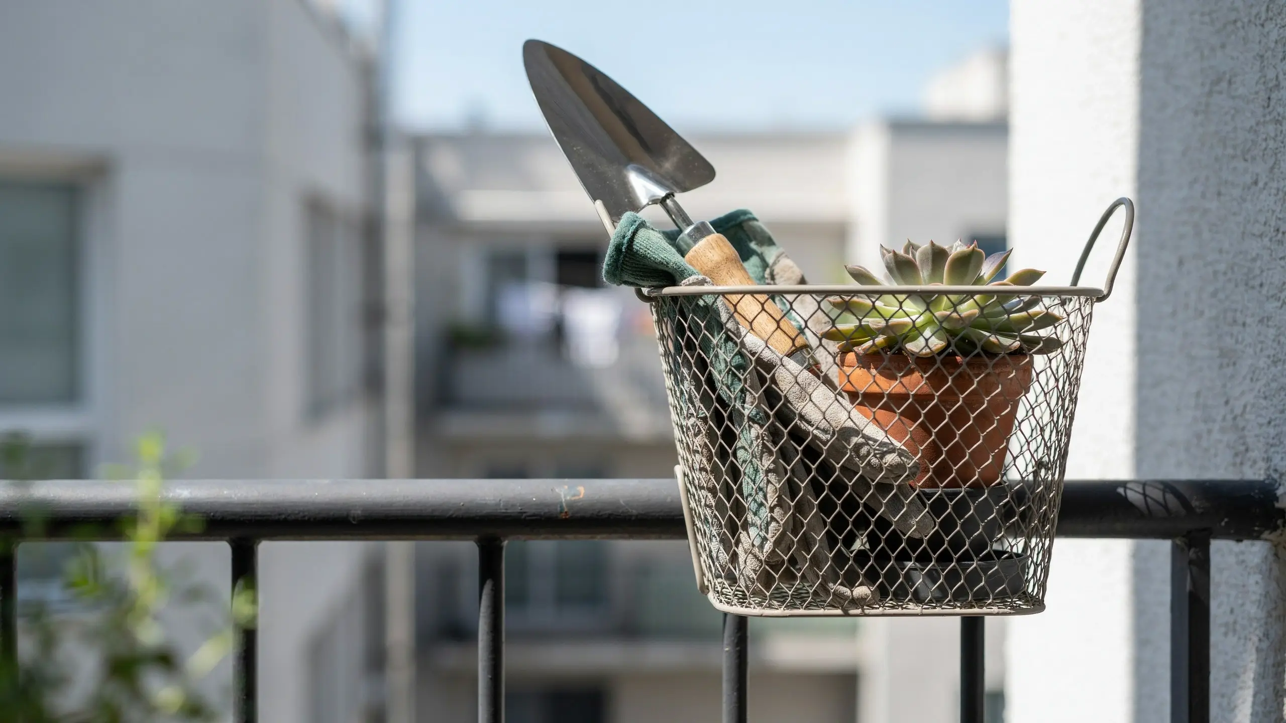 Hanging over-the-rail metal wire storage basket holding a terracotta potted succulent and gardening tools on a sunny apartment balcony.