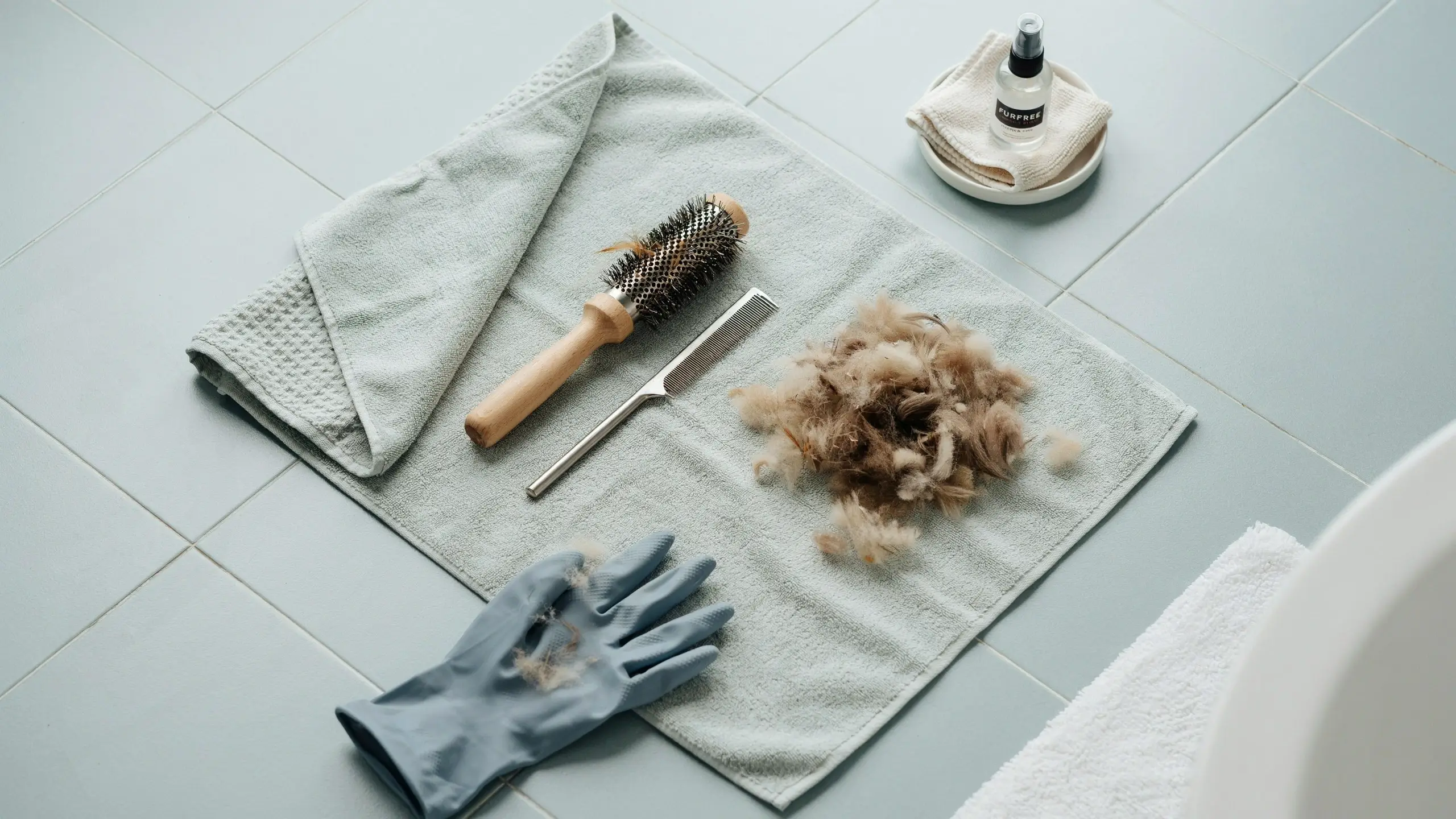 Flat lay arrangement of pet grooming supplies on a light blue bathroom towel, featuring a wooden round brush, metal comb, a pile of shed furry hair, a blue rubber cleaning glove, and a small anti-static fluff remover spray bottle to control pet shedding.