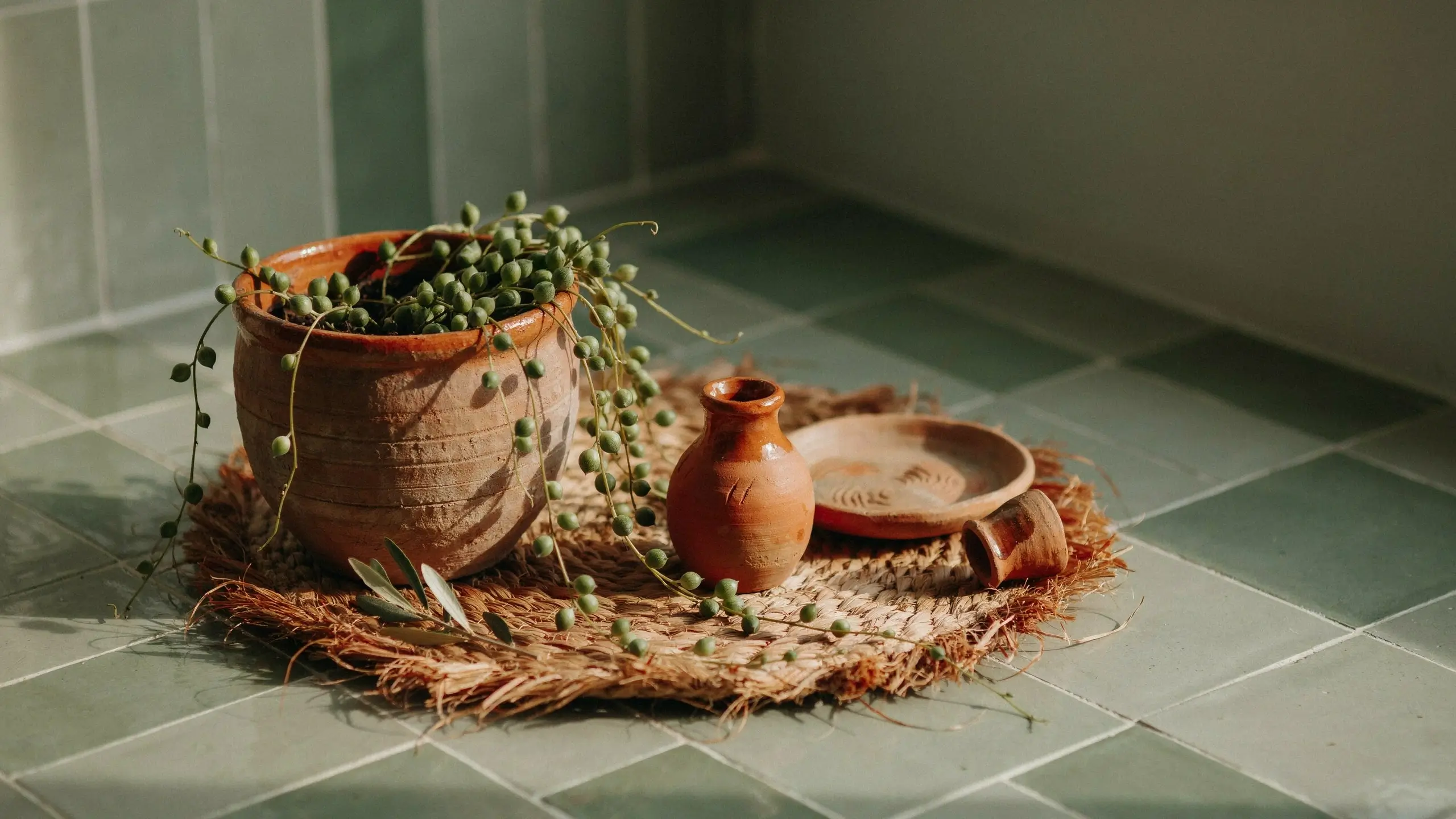 Rustic terracotta planter holding a trailing string of pearls succulent, styled with a small terracotta vase and dish on a woven natural fiber coaster against a sage green tiled floor.
