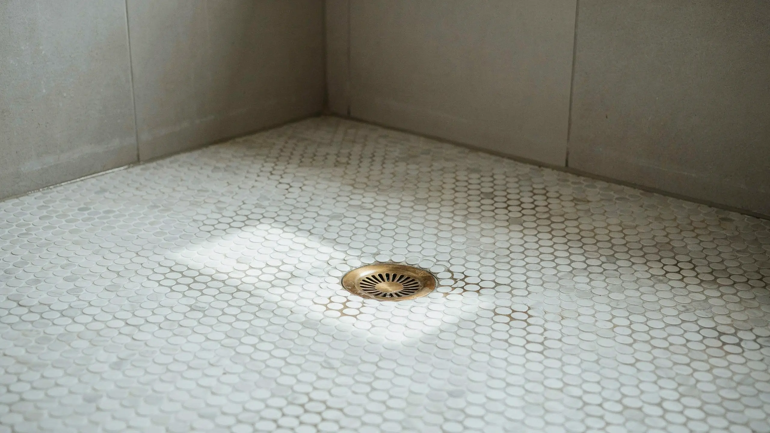 White penny round mosaic shower floor tiles with a central brass drain and light grey grout, set in a corner shower stall and illuminated by natural sunlight.